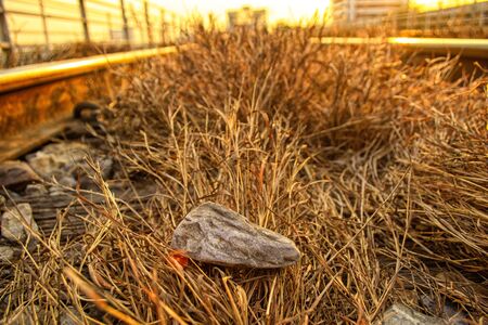 The Rock, Grass & Sunsetの写真素材