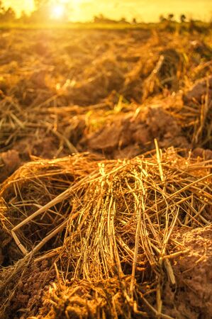 The Land After the Harvestの写真素材