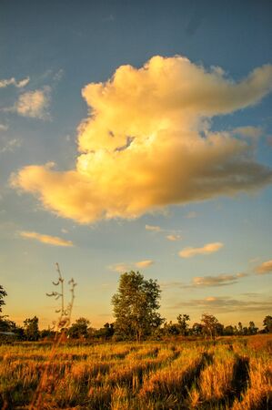 FarmLand Sunsetの写真素材