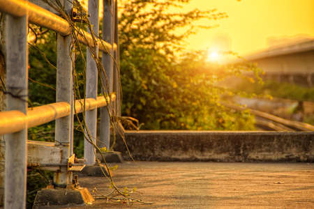 The Sunsetの写真素材