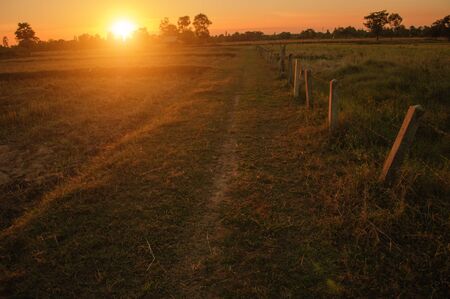 FarmLand Sunsetの写真素材