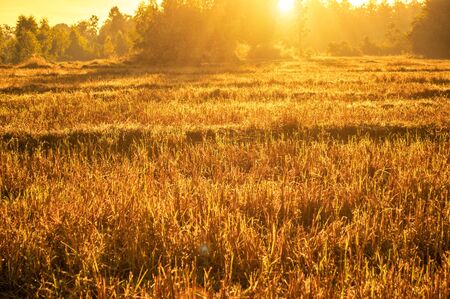 FarmLand Sunsetの写真素材
