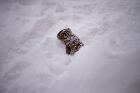 childrens mittens lying on the snowの写真素材