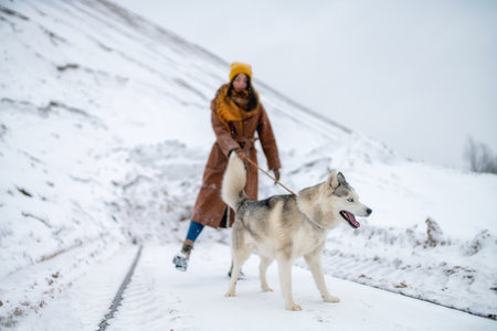 Dog husky in winter and in the background of her mistress