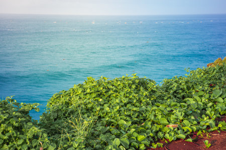 panorama of the scenic view of the beach from a green cliff with very large sea waves. at santolo beach, west java, indonesiaの写真素材