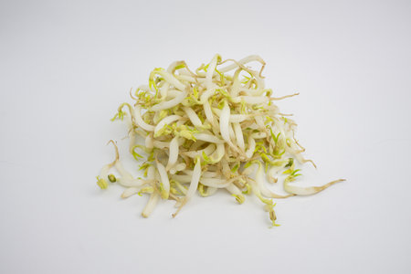 Bean sprouts. in Groups. typical Indonesian. isolated on white background.の写真素材