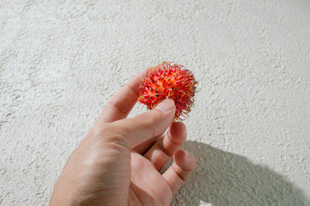 hand holding rambutan fruit with its distinctive hairy shell, isolated on a textured white...