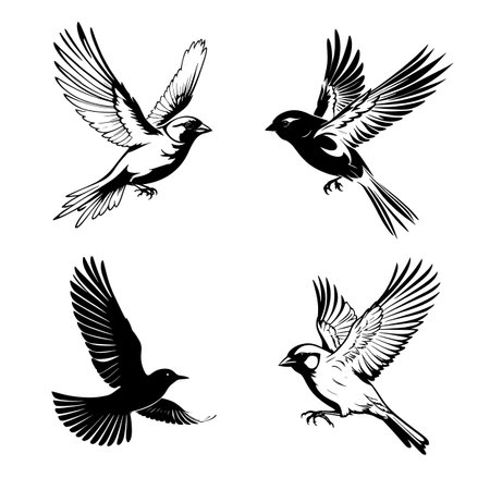 Vector set of flying birds isolated on white background. Black and white illustration.のイラスト素材