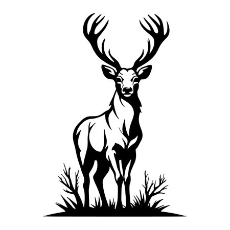 Deer with big antlers. Black and white vector illustration.のイラスト素材