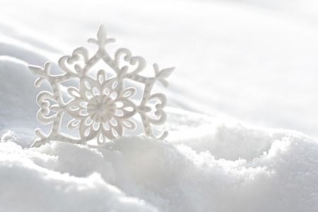 Snowflake in white snowの写真素材