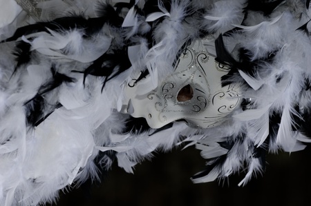 Venetian Carnival Mask - A portrait of one of the most beautiful masks photographed in open street during venetian carnival.の写真素材