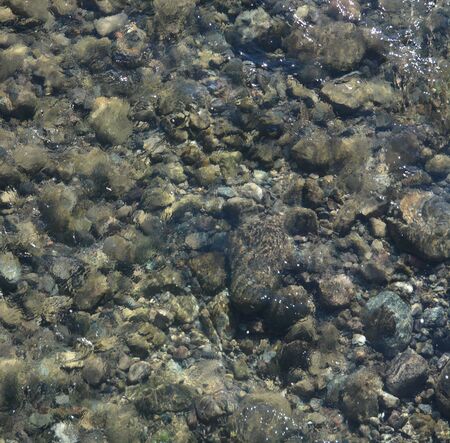 Abstract view of Agua Fria River flowing in Peoria, Maricopa County, Arizona USA