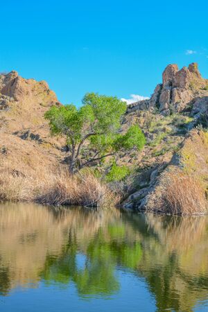 Beautiful view of Ayer Lake in the Boyce Thompson Arboretum State Park, Superior, Arizona USAの写真素材