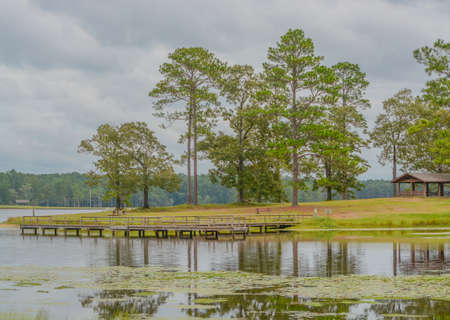 View of Geiger Lake in the wilderness of Pine Belt Region of Hattiesburg, Mississippiの写真素材