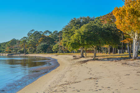 The shoreline on Hammock Bay in Freeport, Walton County, Floridaの写真素材