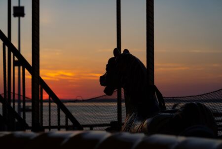 Carousel horse in the sundown lightの写真素材