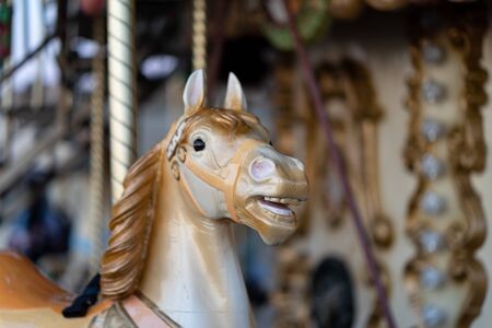 Carousel horseの写真素材