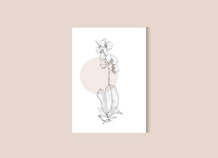 Botanical wall art. Poster with line orchid with organic shape. Vector flower in sketch style. Floral print.のイラスト素材