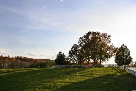 A view of a field at sunset in the fall.の写真素材