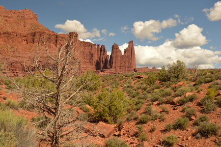 fisher towersの写真素材