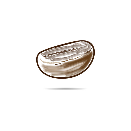 Coffee bean isolated on white background. Watercolor. Vector illustration.のイラスト素材