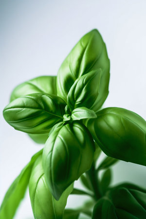 Macro Photo of Basil on White Background. Generative AI. high quality illustrationの素材