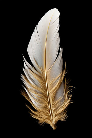 Golden Feather Isolated on Black Background. Generative AI. high quality illustrationの素材