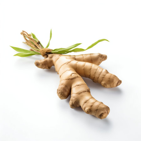 Fresh Ginger Root Isolated on White. Generative AI. high quality illustrationの素材