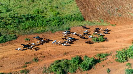 Aerial view of endless lush pastures and farmlands of morogoro town, Tanzaniaの写真素材
