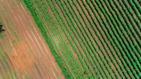 Aerial view of endless lush pastures and farmlands of morogoro town, Tanzaniaの写真素材