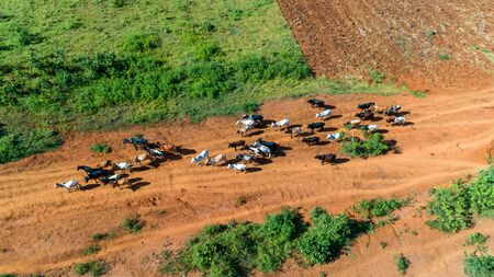 Aerial view of endless lush pastures and farmlands of morogoro town, Tanzaniaの写真素材