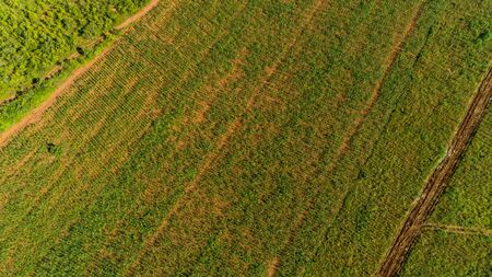 Aerial view of endless lush pastures and farmlands of morogoro town, Tanzaniaの写真素材