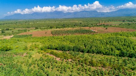 Aerial view of endless lush pastures and farmlands of morogoro town, Tanzaniaの写真素材