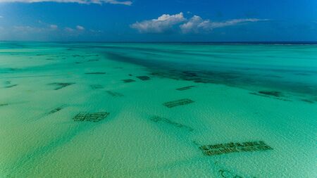 sea weed plantation, Zanzibarの写真素材
