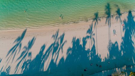 palm trees shadown on the beach, Zanzibarの写真素材