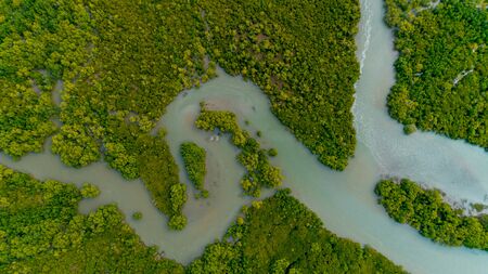 aerial view of the mangrove swamps , city of Dar es Salaam