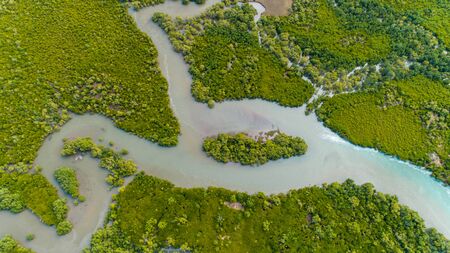 aerial view of the mangrove swamps , city of Dar es Salaamの写真素材