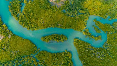 aerial view of the mangrove swamps , city of Dar es Salaamの写真素材