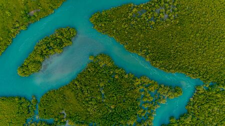 aerial view of the mangrove swamps , city of Dar es Salaamの写真素材