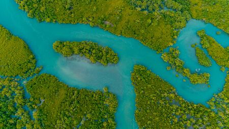 aerial view of the mangrove swamps , city of Dar es Salaamの写真素材