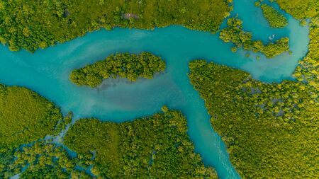 aerial view of the mangrove swamps , city of Dar es Salaamの写真素材