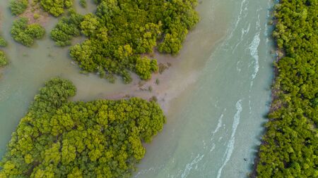 aerial view of the mangrove swamps , city of Dar es Salaamの写真素材