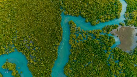 aerial view of the mangrove swamps , city of Dar es Salaam