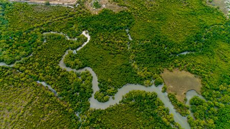 aerial view of the mangrove swamps , city of Dar es Salaamの写真素材