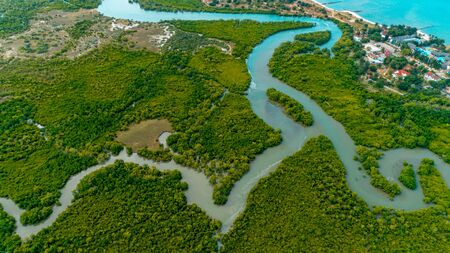 aerial view of the mangrove swamps , city of Dar es Salaamの写真素材