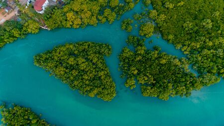 aerial view of the mangrove swamps , city of Dar es Salaamの写真素材