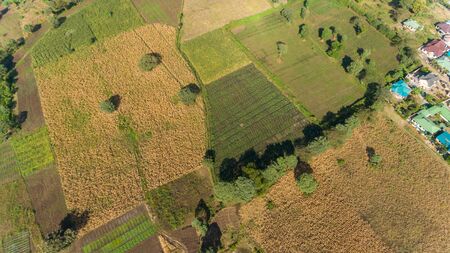aerial view of the rural area away from Arusha, Farming and people settlement.の写真素材