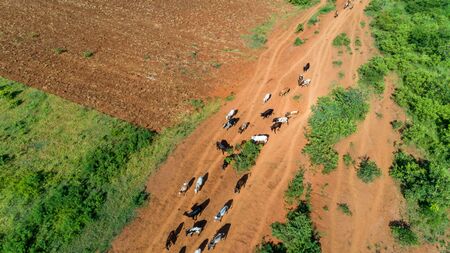 Aerial view of endless lush pastures and farmlands of morogoro town, Tanzaniaの写真素材