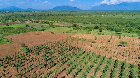 Aerial view of endless lush pastures and farmlands of morogoro town, Tanzaniaの写真素材