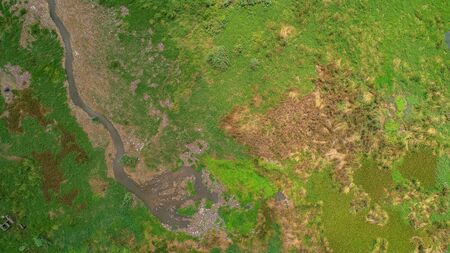 aerial view of jangwani areaの写真素材